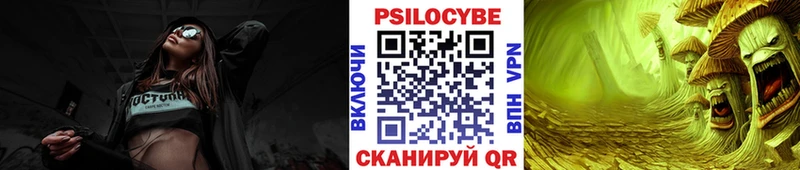 закладки  Барабинск  Псилоцибиновые грибы Cubensis 