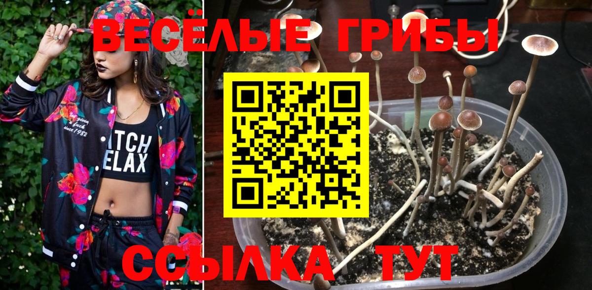 Барабинск  Галлюциногенные грибы мицелий  Вход с VPN 